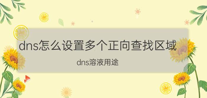 dns怎么设置多个正向查找区域 dns溶液用途？